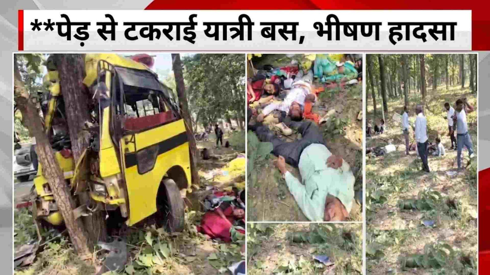 छत्तीसगढ़ में पेड़ से टकराई बेकाबू बस, 6 की मौत : बस मालिक ने भी तोड़ा दम, 25 यात्री घायल, ड्राइवर समेत 15 की हालत गंभीर; तेज रफ्तार हादसे की वजह