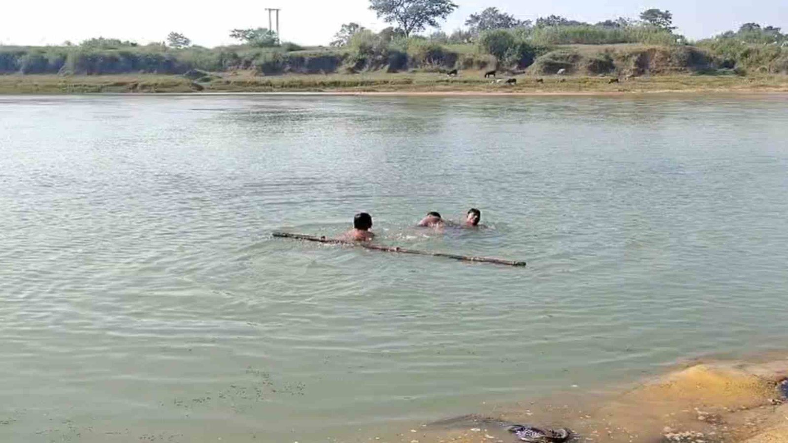नदी में नहाने गए 3 बच्चों समेत 4 की डूबने से मौत : बच्चों को बचाने कूदे पिता भी डूबे, पिता और एक बेटे का शव मिला, 2 की तलाश जारी